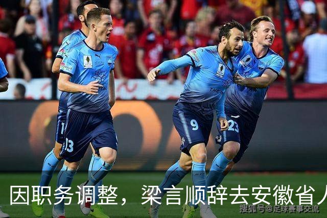 因职务调整，梁言顺辞去安徽省人大常委会主任一职